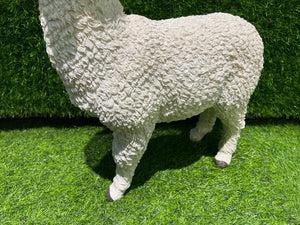 Large Alpaca Statue