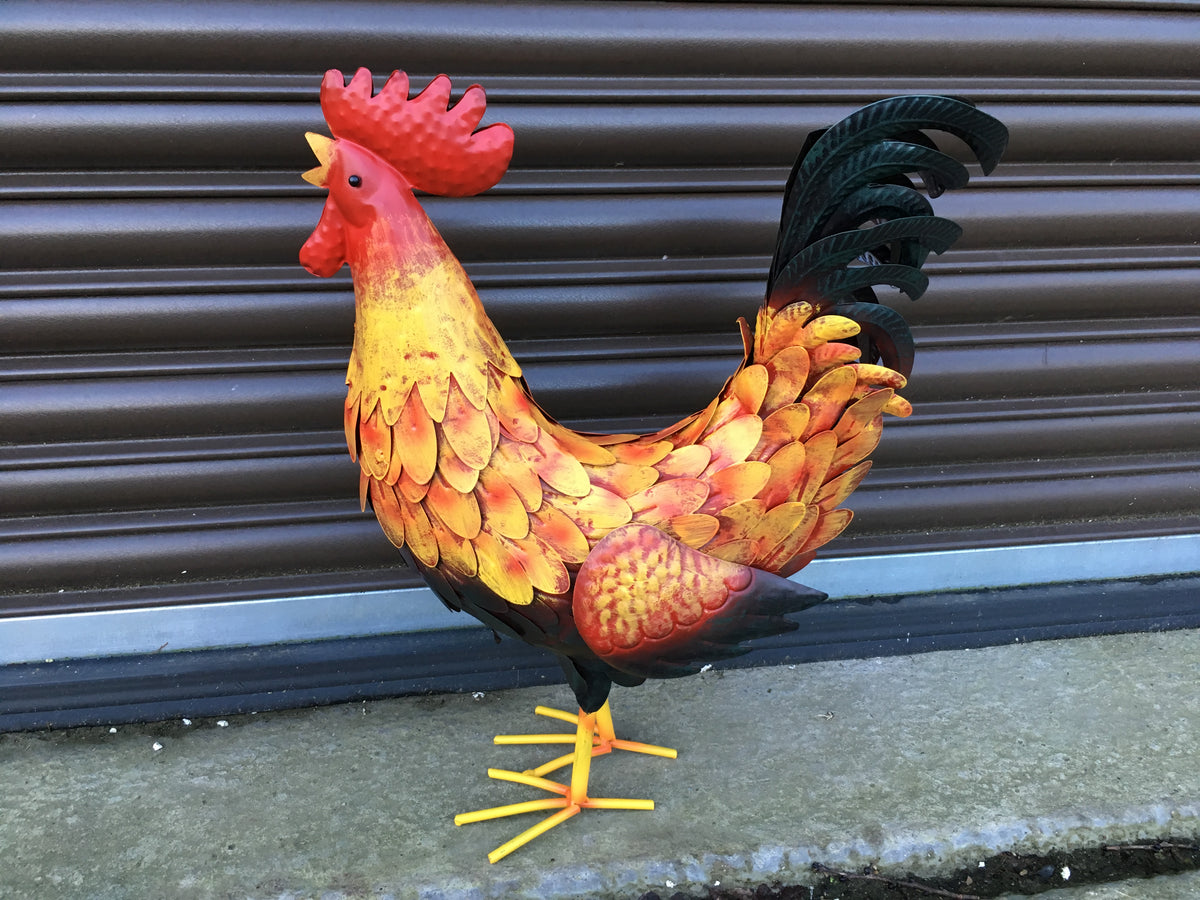 Metal Painted Cockerel – John Cowell Limited