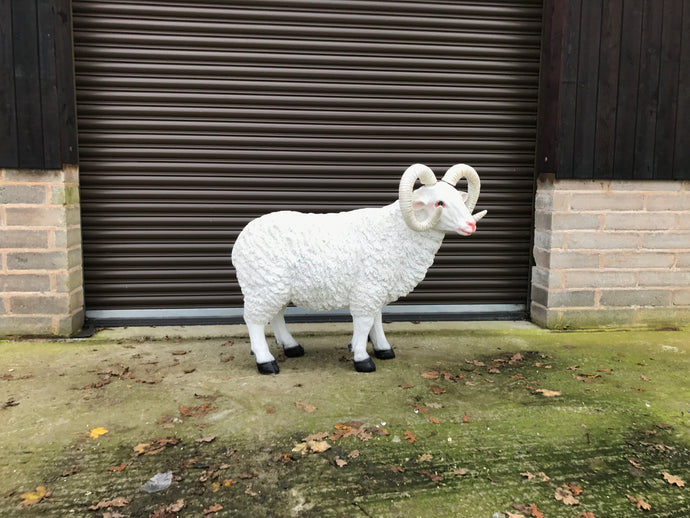 Resin Ram